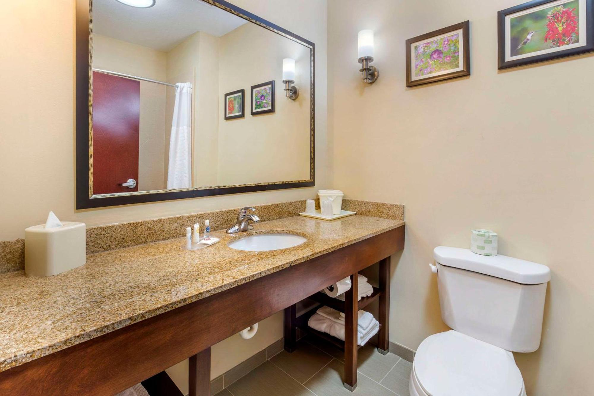 Comfort Suites Wilson - I - 95 Zewnętrze zdjęcie